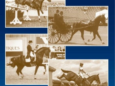 100 Years of Finnish Equestrian Sport Hot on Sale